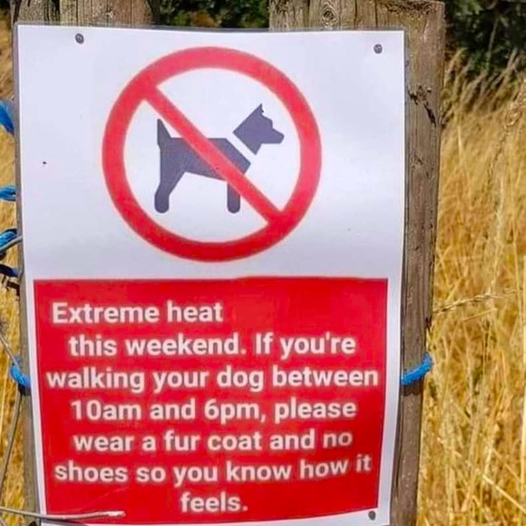 Other - 🐕🐾🔥🐕‍🦺